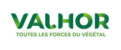 Logo Valhor